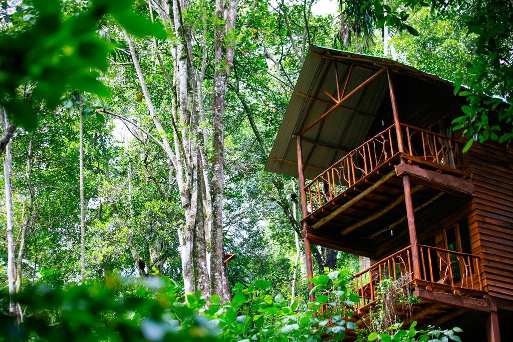 Ella Ecolodge Exterior foto